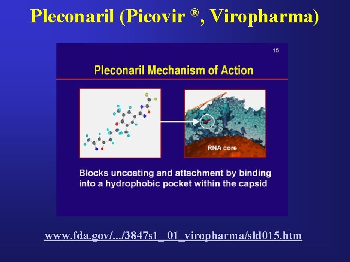 Pleconaril (Picovir ®, Viropharma) www. fda. gov/. . . /3847 s 1_ 01_viropharma/sld 015.