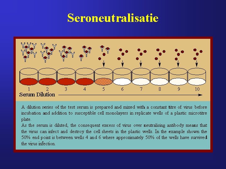 Seroneutralisatie 