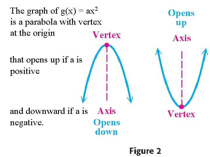 The graph of g(x) = ax 2 is a parabola with vertex at the