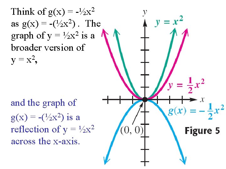 Think of g(x) = -½x 2 as g(x) = -(½x 2). The graph of