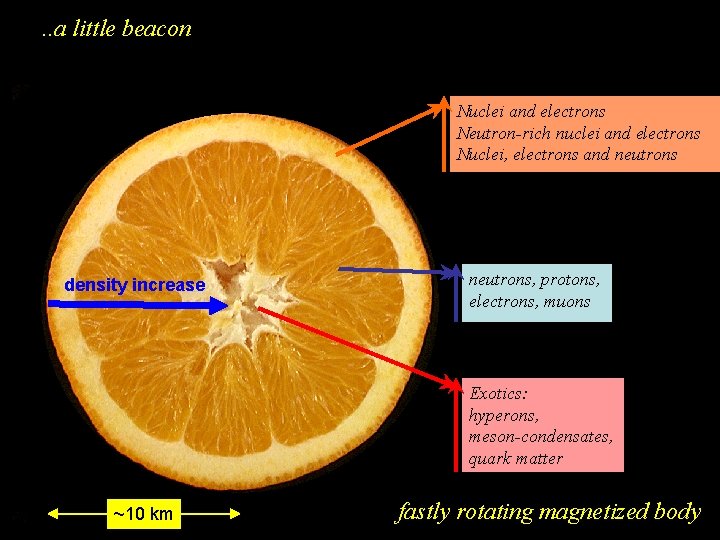 . . a little beacon Nuclei and electrons Neutron-rich nuclei and electrons Nuclei, electrons . . a little beacon Nuclei and electrons Neutron-rich nuclei and electrons Nuclei, electrons