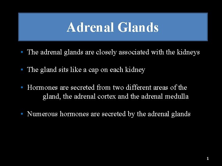 Adrenal Glands • The adrenal glands are closely associated with the kidneys • The