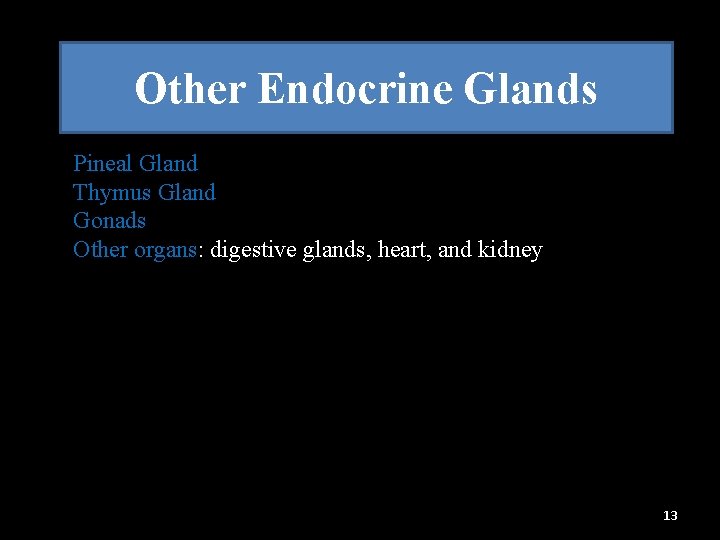 Other Endocrine Glands Pineal Gland Thymus Gland Gonads Other organs: digestive glands, heart, and