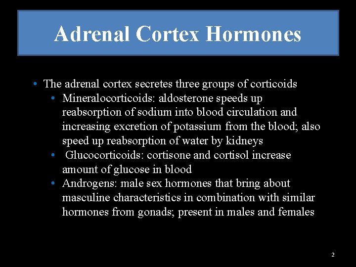 Adrenal Cortex Hormones • The adrenal cortex secretes three groups of corticoids • Mineralocorticoids: