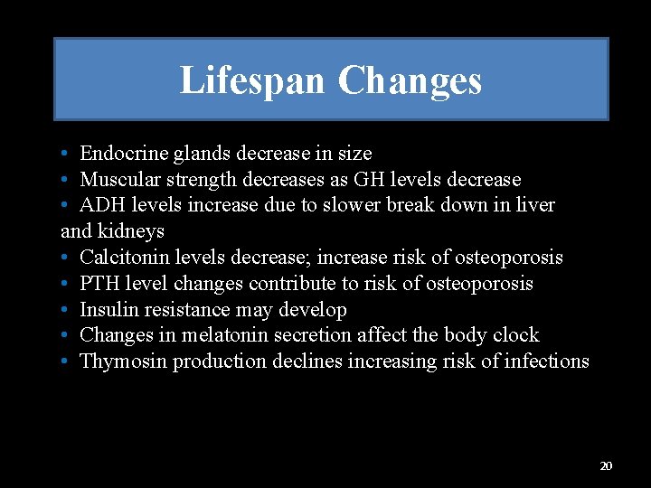 Lifespan Changes • Endocrine glands decrease in size • Muscular strength decreases as GH