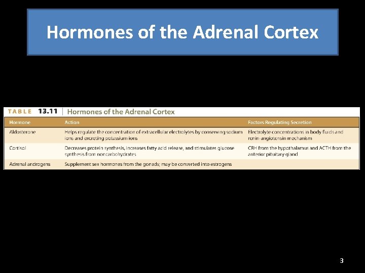 Hormones of the Adrenal Cortex 3 