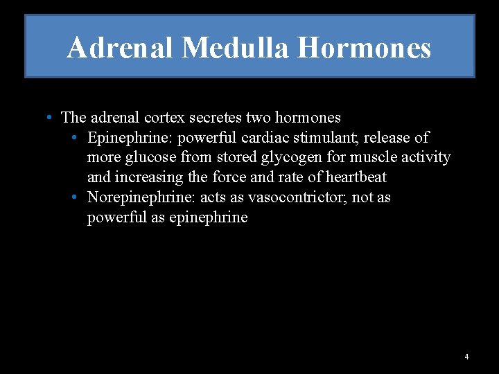 Adrenal Medulla Hormones • The adrenal cortex secretes two hormones • Epinephrine: powerful cardiac