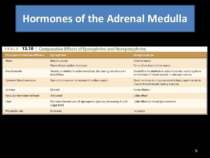 Hormones of the Adrenal Medulla 5 