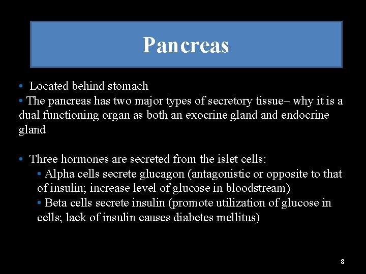 Pancreas • Located behind stomach • The pancreas has two major types of secretory