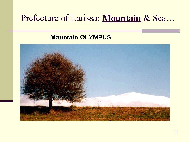 Prefecture of Larissa: Mountain & Sea… Mountain OLYMPUS 13 