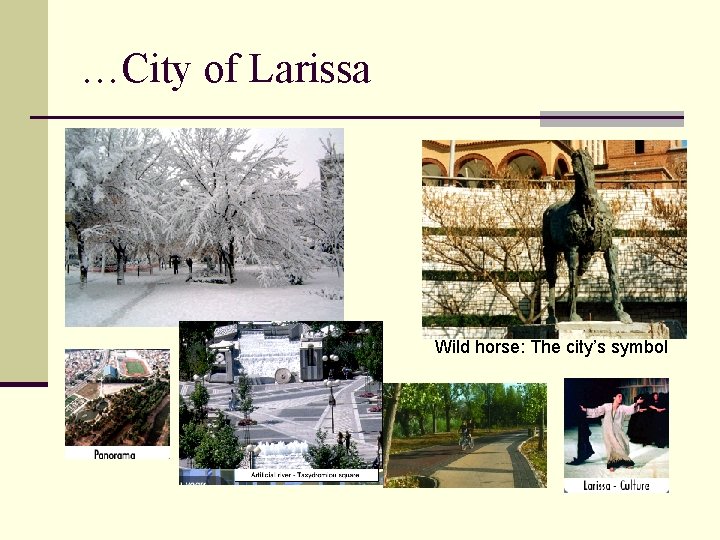 …City of Larissa Wild horse: The city’s symbol 