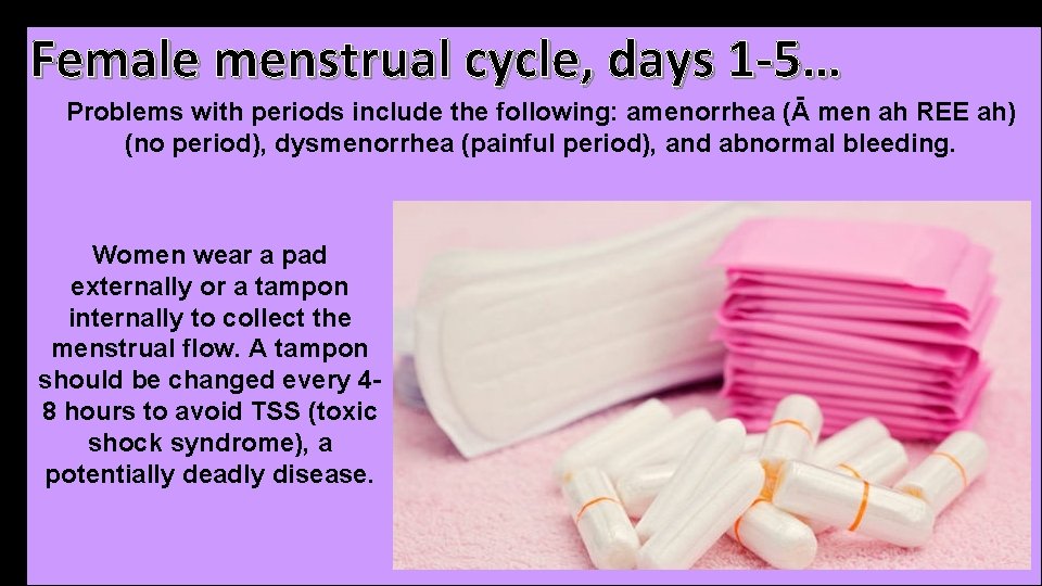 Female menstrual cycle, days 1 -5… Problems with periods include the following: amenorrhea (Ā Female menstrual cycle, days 1 -5… Problems with periods include the following: amenorrhea (Ā