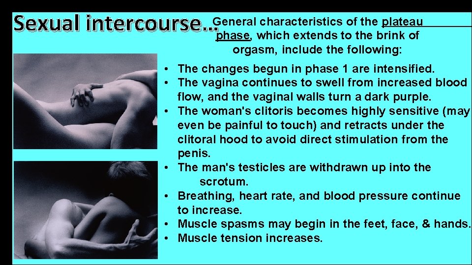 characteristics of the plateau Sexual intercourse…General phase, which extends to the brink of orgasm, characteristics of the plateau Sexual intercourse…General phase, which extends to the brink of orgasm,