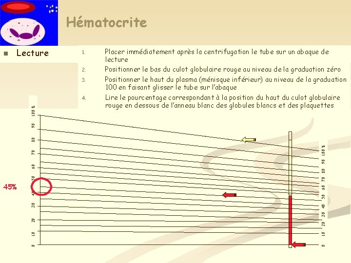 Hématocrite n Lecture 1. 2. 3. 90 100 % 60 70 80 50 30 Hématocrite n Lecture 1. 2. 3. 90 100 % 60 70 80 50 30