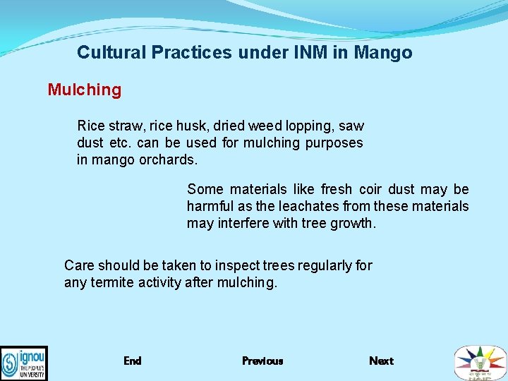 Cultural Practices under INM in Mango Mulching Rice straw, rice husk, dried weed lopping,