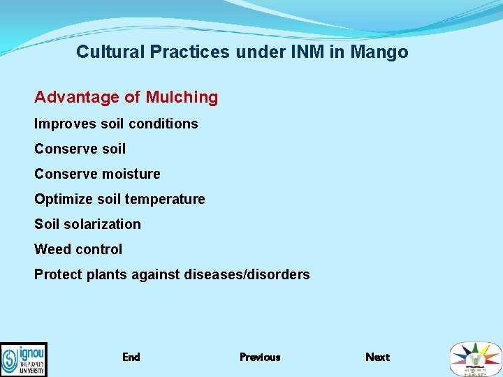 Cultural Practices under INM in Mango Advantage of Mulching Improves soil conditions Conserve soil