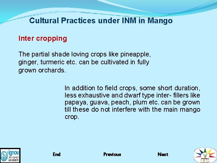 Cultural Practices under INM in Mango Inter cropping The partial shade loving crops like