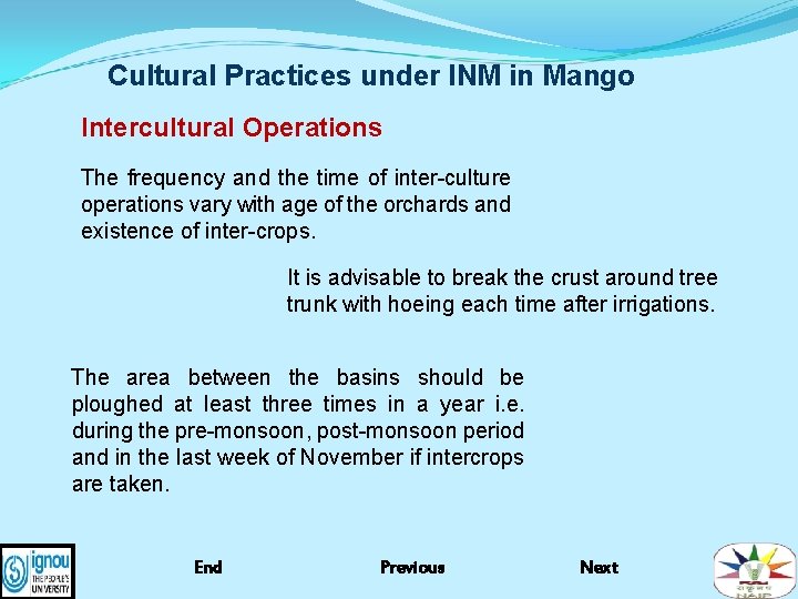 Cultural Practices under INM in Mango Intercultural Operations The frequency and the time of