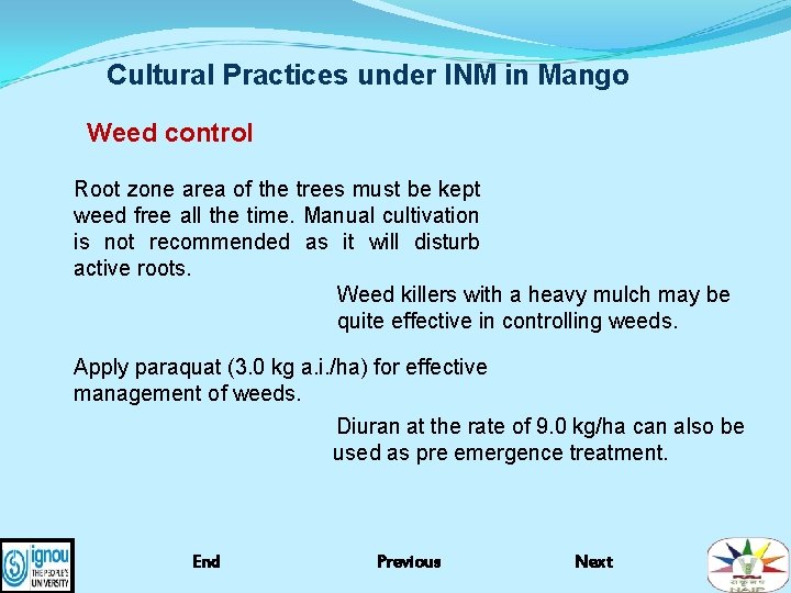 Cultural Practices under INM in Mango Weed control Root zone area of the trees