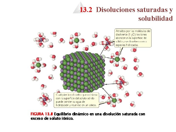 13. 2 Disoluciones saturadas y solubilidad FIGURA 13. 8 Equilibrio dinámico en una disolución
