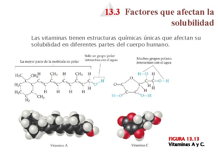 13. 3 Factores que afectan la solubilidad Las vitaminas tienen estructuras químicas únicas que