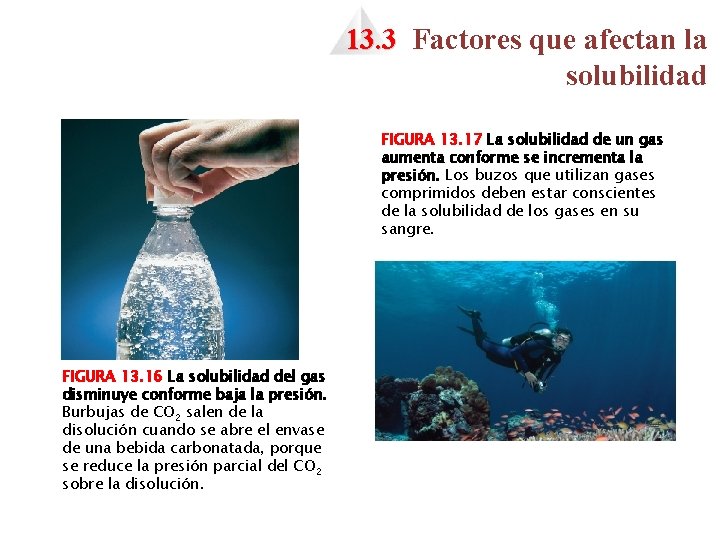 13. 3 Factores que afectan la solubilidad FIGURA 13. 17 La solubilidad de un