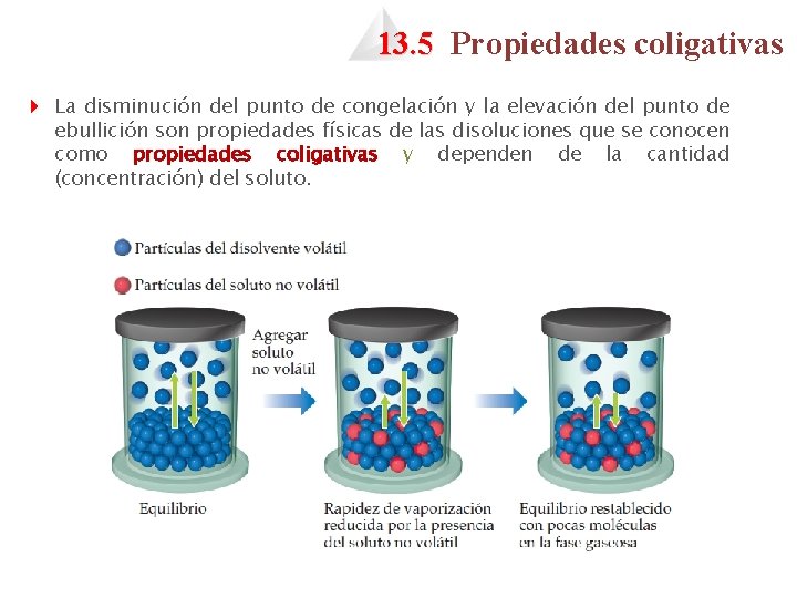 13. 5 Propiedades coligativas 4 La disminución del punto de congelación y la elevación