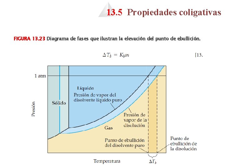 13. 5 Propiedades coligativas FIGURA 13. 23 Diagrama de fases que ilustran la elevación