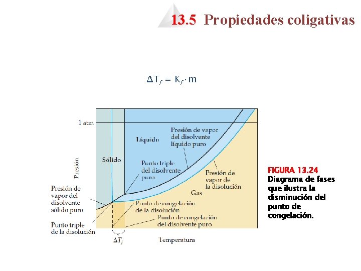 13. 5 Propiedades coligativas ΔTf = Kf·m FIGURA 13. 24 Diagrama de fases que 13. 5 Propiedades coligativas ΔTf = Kf·m FIGURA 13. 24 Diagrama de fases que