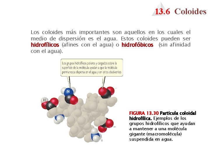 13. 6 Coloides Los coloides más importantes son aquellos en los cuales el medio