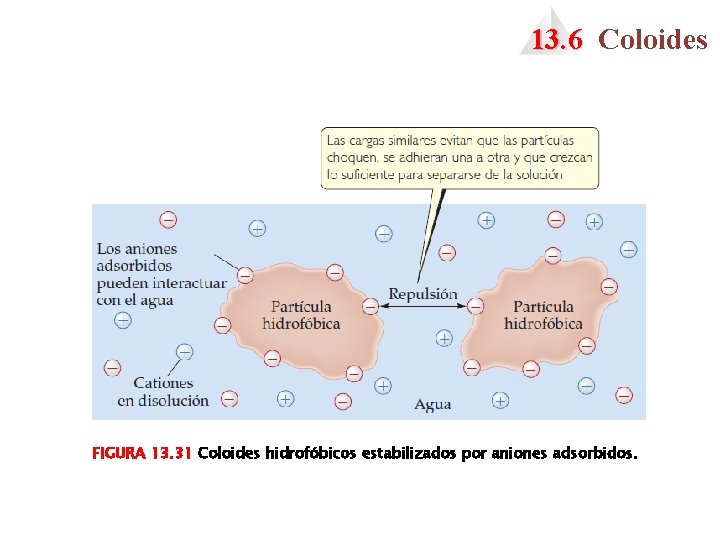 13. 6 Coloides FIGURA 13. 31 Coloides hidrofóbicos estabilizados por aniones adsorbidos. 