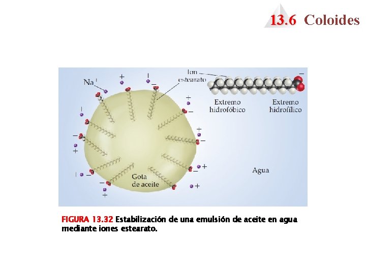 13. 6 Coloides FIGURA 13. 32 Estabilización de una emulsión de aceite en agua