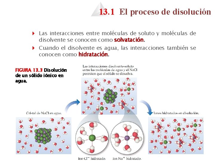 13. 1 El proceso de disolución 4 Las interacciones entre moléculas de soluto y