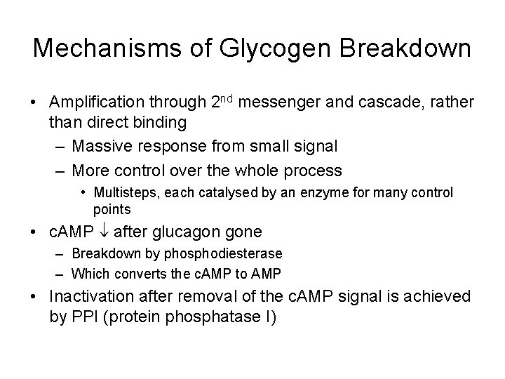 Mechanisms of Glycogen Breakdown • Amplification through 2 nd messenger and cascade, rather than
