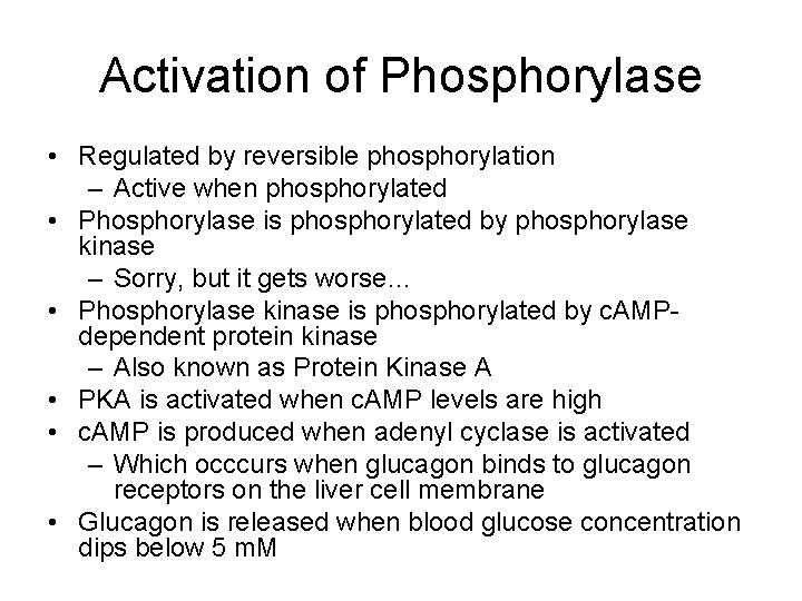 Activation of Phosphorylase • Regulated by reversible phosphorylation – Active when phosphorylated • Phosphorylase