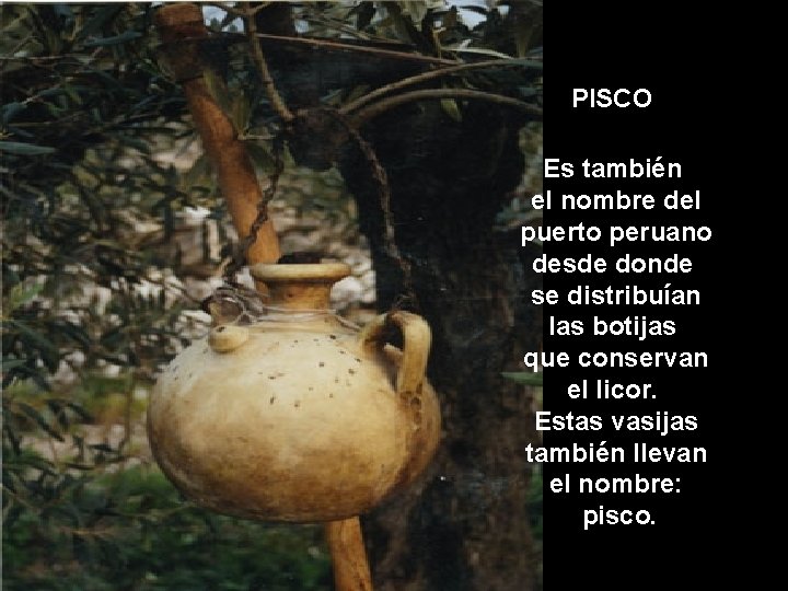 PISCO Es también el nombre del puerto peruano desde donde se distribuían las botijas