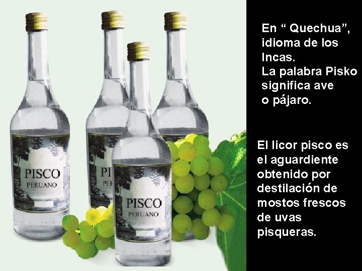 PISCO PI En “ Quechua”, idioma de los Incas. La palabra Pisko significa ave