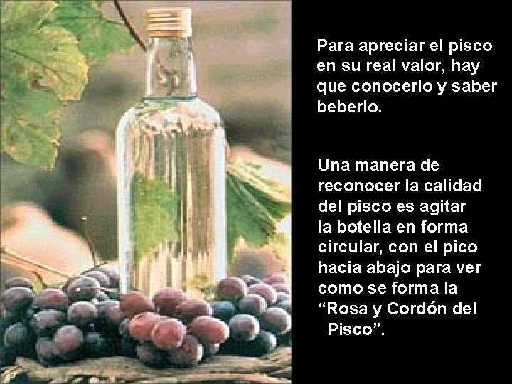 Para apreciar el pisco en su real valor, hay que conocerlo y saber beberlo.