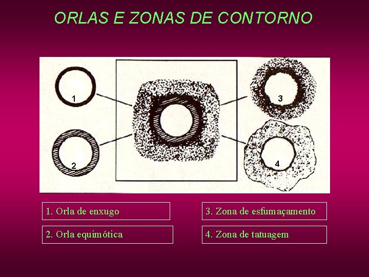 ORLAS E ZONAS DE CONTORNO 1 2 3 4 1. Orla de enxugo 3. ORLAS E ZONAS DE CONTORNO 1 2 3 4 1. Orla de enxugo 3.