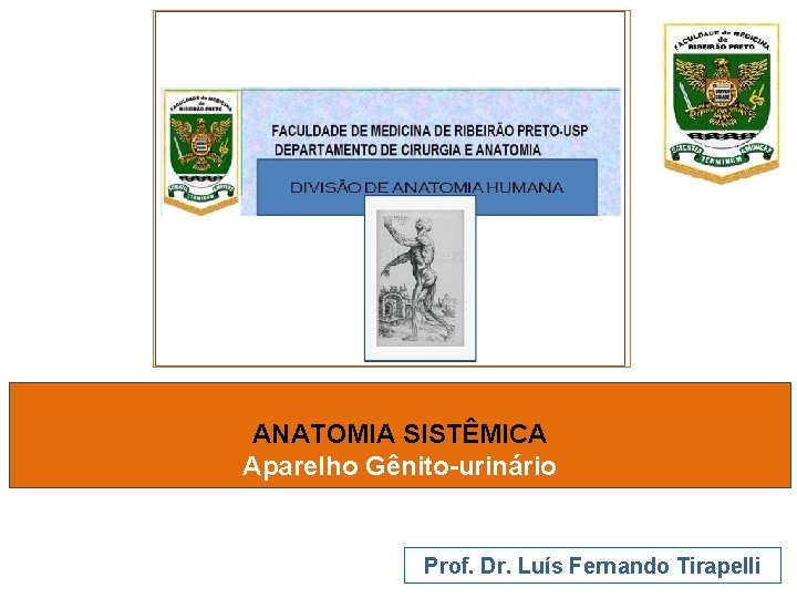 ANATOMIA SISTÊMICA Aparelho Gênito-urinário Prof. Dr. Luís Fernando Tirapelli 