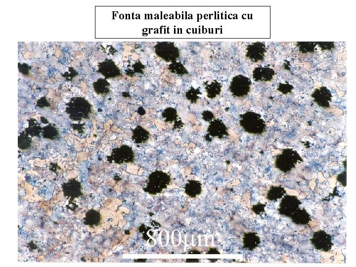 Fonta maleabila perlitica cu grafit in cuiburi Fonta maleabila perlitica cu grafit in cuiburi