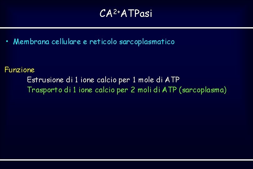 CA 2+ATPasi • Membrana cellulare e reticolo sarcoplasmatico Funzione Estrusione di 1 ione calcio