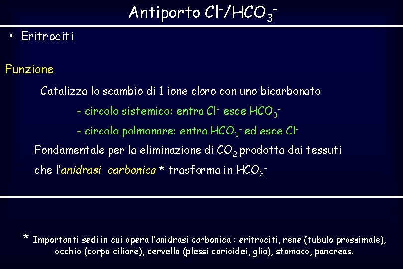 Antiporto Cl-/HCO 3 • Eritrociti Funzione Catalizza lo scambio di 1 ione cloro con