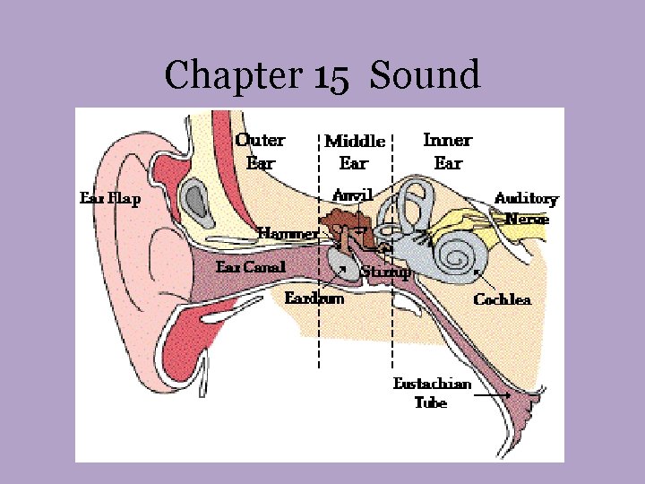 Chapter 15 Sound Chapter 15 Sound