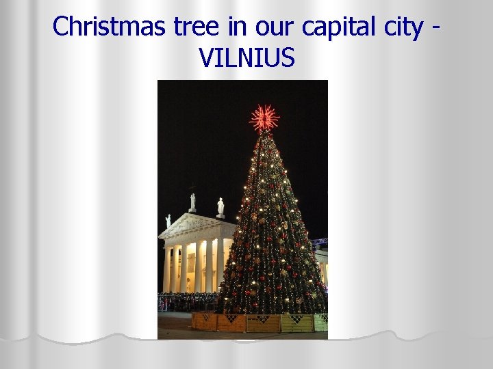 Christmas tree in our capital city - VILNIUS 