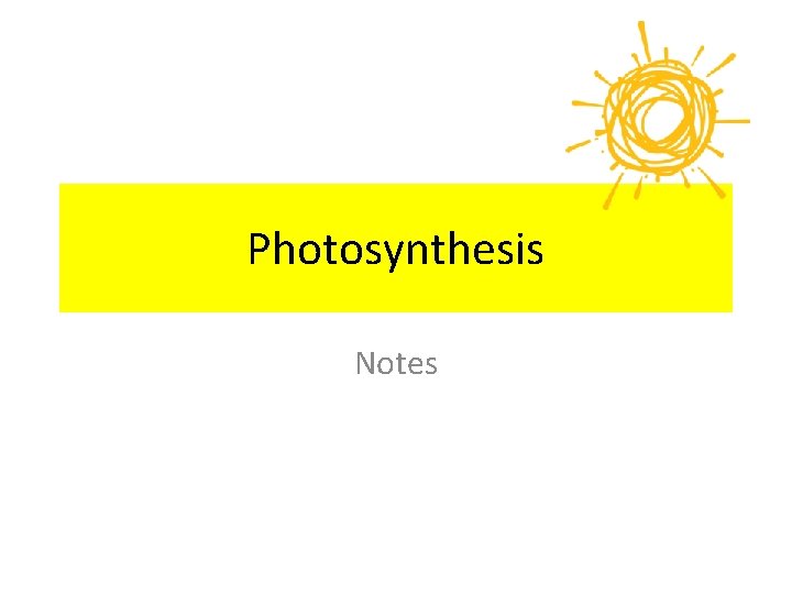 Photosynthesis Notes 