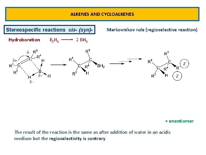 ALKENES AND CYCLOALKENES Stereospecific reactions cis- (syn)Hydroboration B 2 H 6 Markovnikov rule (regioselective