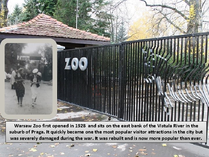 Warsaw Zoo first opened in 1928 and sits on the east bank of the
