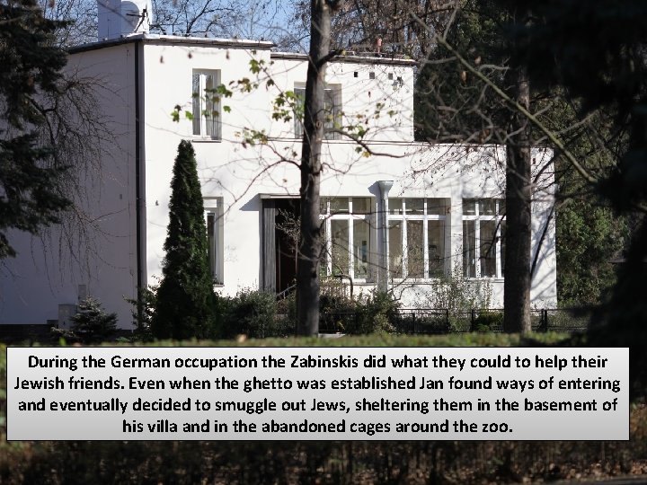 During the German occupation the Zabinskis did what they could to help their Jewish
