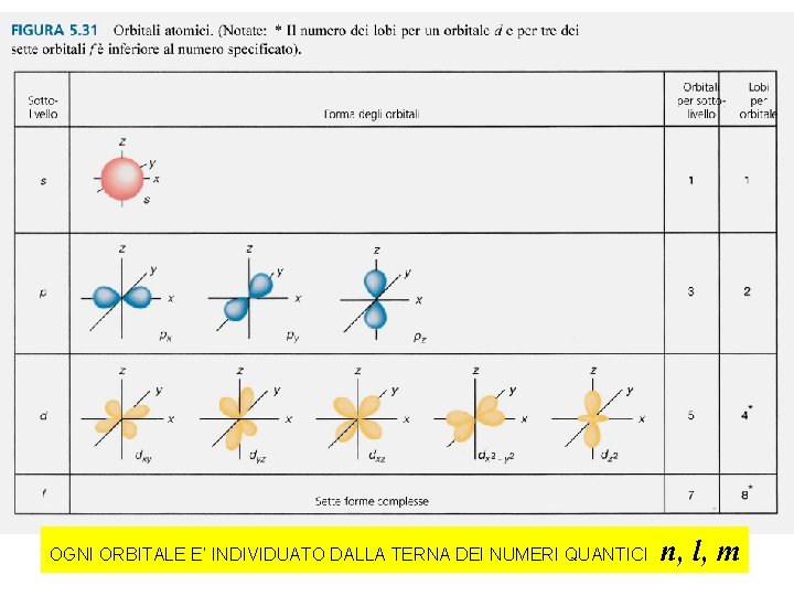 OGNI ORBITALE E’ INDIVIDUATO DALLA TERNA DEI NUMERI QUANTICI n, l, m 